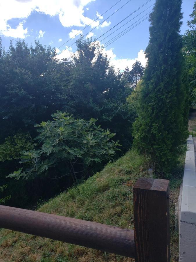 Vila Slankamenka Stari Slankamen Екстериор снимка